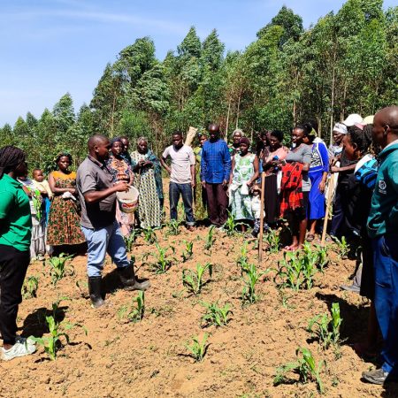 Weeding_Demonstration